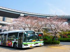 -上海南浦大桥长途旅游客运站