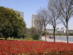 -尚贤河湿地