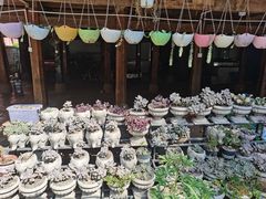 -西双版纳傣族园