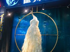 门面-雀舞云南菜(乐客城店)