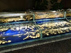 -朕悦鹧鸪饭私房菜