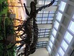 -广西壮族自治区博物馆