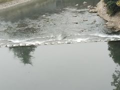-羊山湖公园