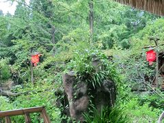 -青城甲(青城山店)