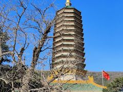 -八大处公园