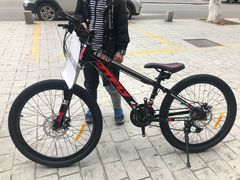 -道路口单车爱瓦士dahon大行