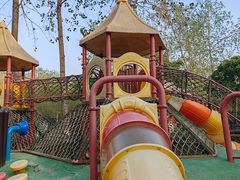 -合肥滨湖国家森林公园