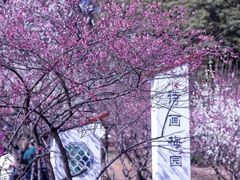 -无锡梅园公园