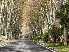 -河南省黄河迎宾馆