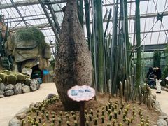 -南山植物园