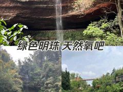 -沐川竹海旅游景区