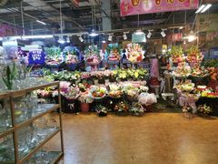 -大自然花鸟鱼虫市场