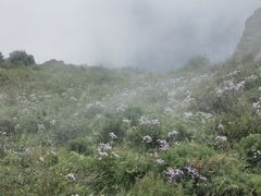 -白草畔自然风景区