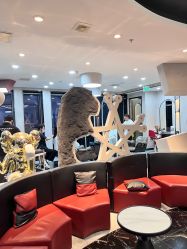 -TOP HAIR SALON