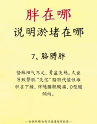 -Fundi张玉珊修身堂·indiba·BTL科技瘦身