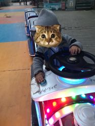 -大望京儿童游乐场