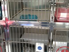 -芭比堂动物医院·犬猫全科·异宠专科(雁塔分院)