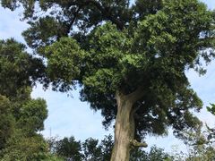 -金堂县云顶石城风景区