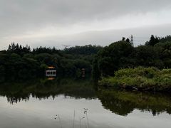 -深圳仙湖植物园