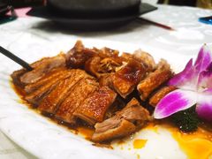 豉油马岗鹅-鹅城