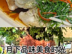 -院里寻菜·精致庭院菜(观沙岭店)