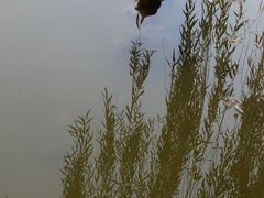 -鹦鹉寺公园