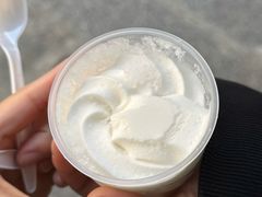 -洪馨椰子