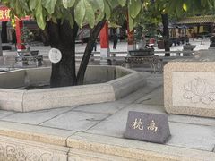 -广东圆玄道观