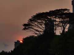 -深圳湾公园(南山区)