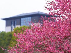 -苏州湾体育公园