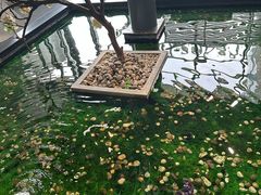 -上海可达汽车销售服务有限公司