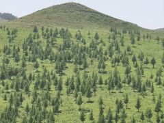-灵山