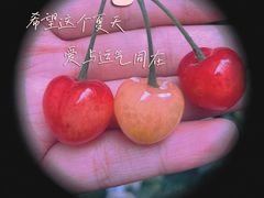 -边渡咖啡烘焙店(昙华林店)