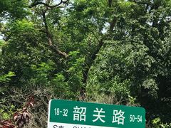 -八大关景区