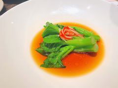广东菜心-觀芷隐轩