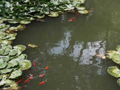 -西宁市人民公园(城西区)