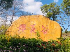 -聚龙山公园