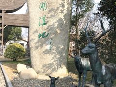 -溱湖国家湿地公园