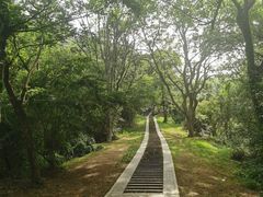 -青龙山国家森林公园