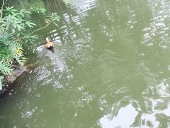 -呀诺达热带雨林