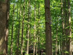 -南京金牛湖风景区