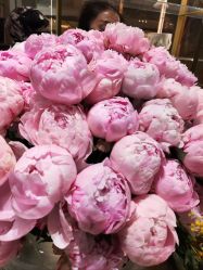 -今日陶艺(富力广场店)