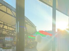 -移动谜城·大笨象密室逃脱(五棵松店)