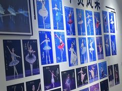 -中央芭蕾舞团·中芭艺蕾(酒仙桥明星校区)