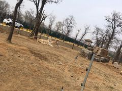 -秦皇岛野生动物园