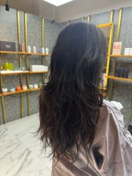 -付军剪艺