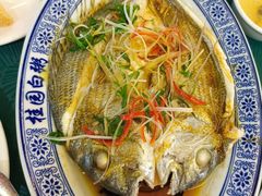 -桂园白粥·潮汕老味道