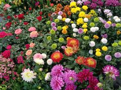 -沃尔玛购物广场(霖雨路店)