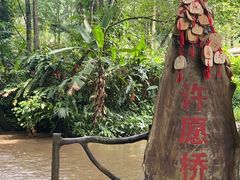 -莫里热带雨林景区