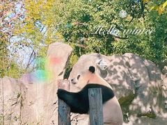 -上海野生动物园